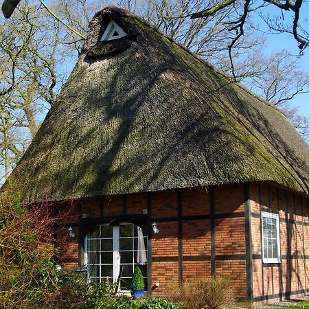 Gaestehaus Eulennest Grossenworden Esterno foto